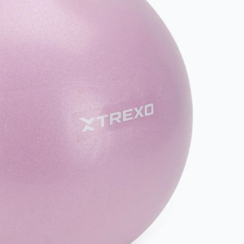 Mini gimnastikos kamuolys TREXO TXO-B4Z011-VT 25 cm violetinis