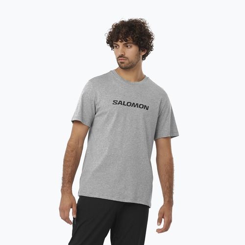 Vyriški marškinėliai Salomon Logo Performance heather grey