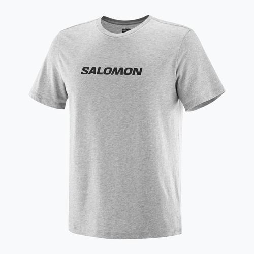 Vyriški marškinėliai Salomon Logo Performance heather grey