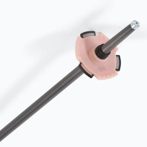 Slidinėjimo lazdos Salomon Polar Pro rose gold