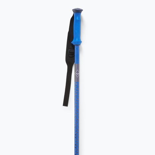 Slidinėjimo lazdos Salomon Polar Pro race blue