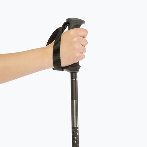 Slidinėjimo lazdos Salomon Polar black