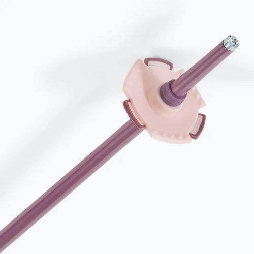 Slidinėjimo lazdos Salomon Polar heavenly pink