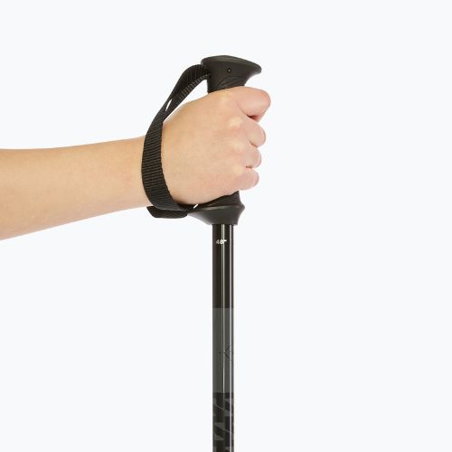 Slidinėjimo lazdos Salomon Polar Access black