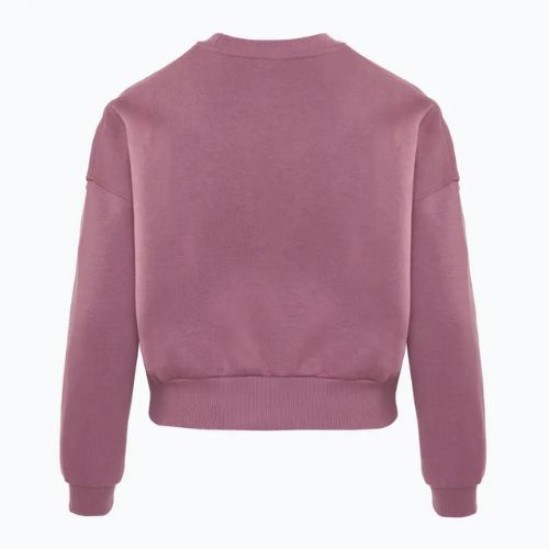 Vaikiškas džemperis Nike Sportswear Club Fleece plum dust/light wild mango