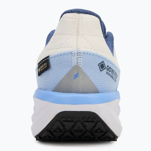 Moteriški bėgimo batai Nike Winflo 11 GORE-TEX phantom/footballgrey/cobaltbliss/metallicredbronze