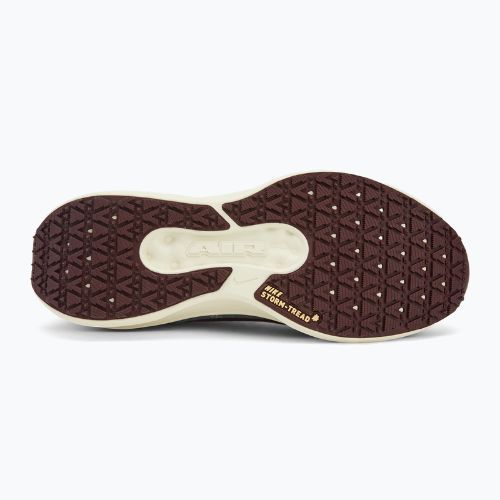 Vyriški bėgimo batai Nike Winflo 11 GORE-TEX light pumice/dk smokegrey/burgundycrush/ashenslate