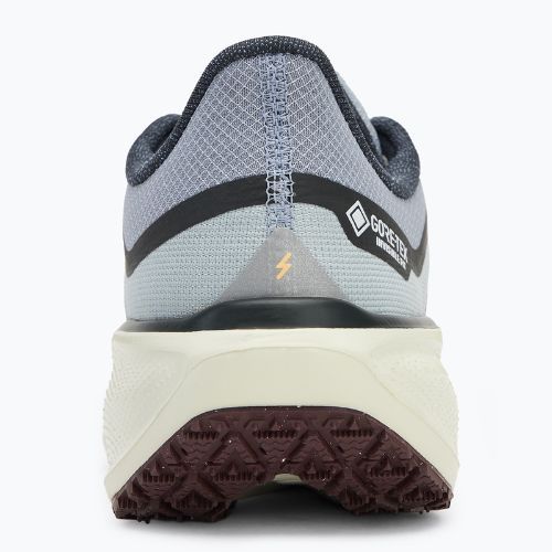 Vyriški bėgimo batai Nike Pegasus 41 GTX light pumice/ burgundy crush/ dark smoke grey/ ashen slate