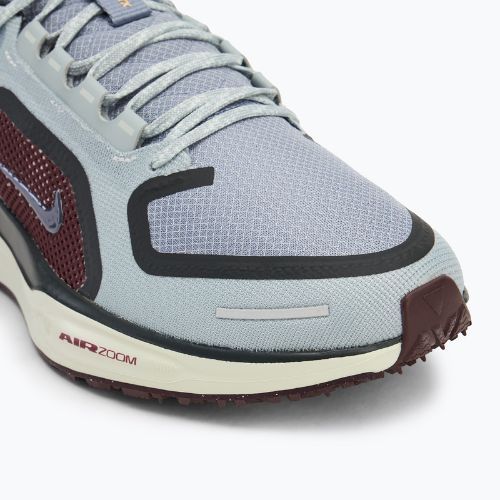 Vyriški bėgimo batai Nike Pegasus 41 GTX light pumice/ burgundy crush/ dark smoke grey/ ashen slate