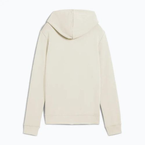 Moteriškas džemperis PUMA ESS No. 1 Logo Hoodie TR alpine snow