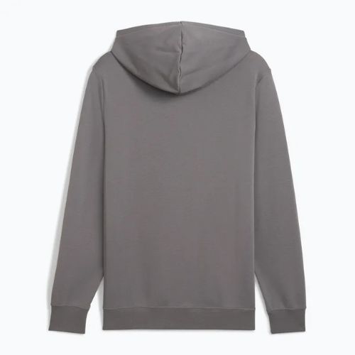 Vyriškas džemperis PUMA ESS Small No. 1 Logo Hoodie TR cast iron