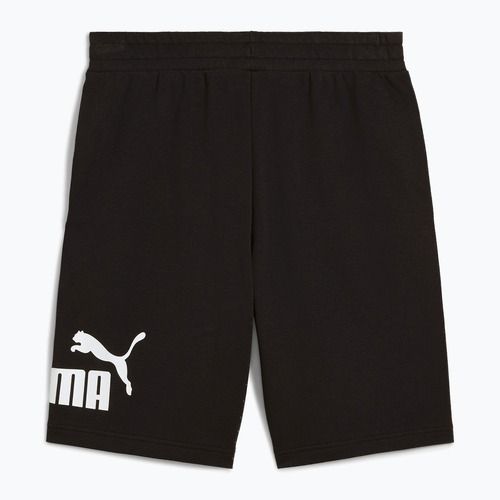 Vyriški šortai PUMA ESS Big No. 1 Logo 10" puma black