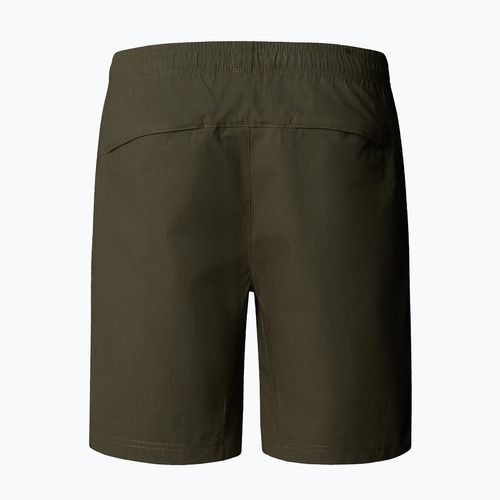 Vyriški šortai The North Face Limestone new taupe green
