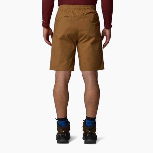 Vyriški šortai The North Face Limestone utility brown