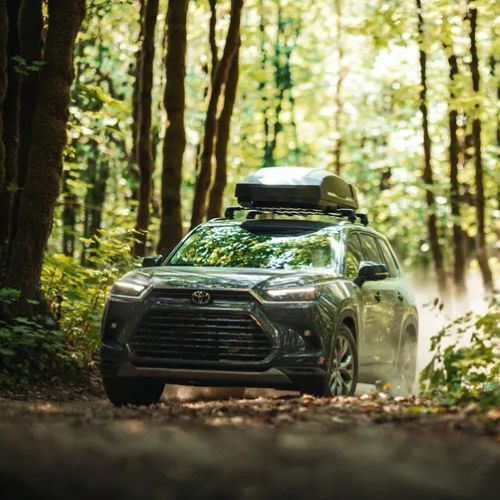 Stogo bagažinė Thule Force 3 L black matte