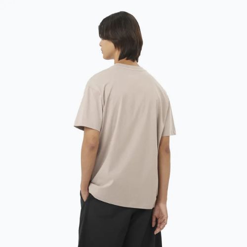 Vyriški marškinėliai Salomon Logo RX Tee etherea