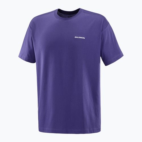 Vyriški marškinėliai Salomon Logo RX Tee astral