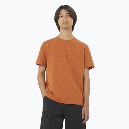 Vyriški marškinėliai Salomon Big Logo Tee sierra