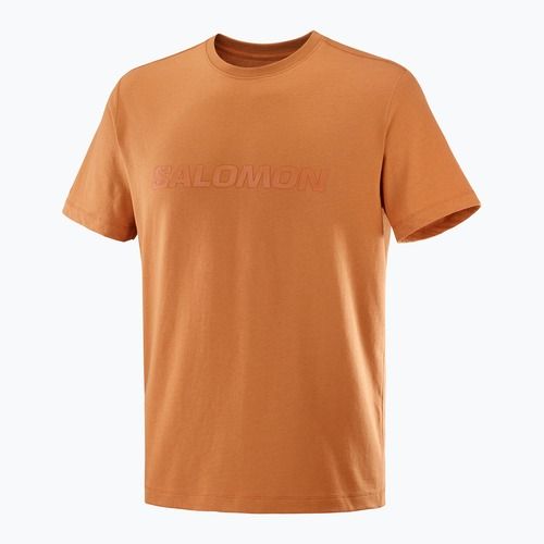 Vyriški marškinėliai Salomon Big Logo Tee sierra
