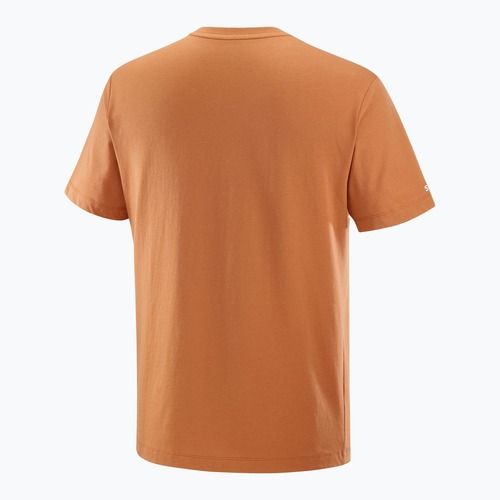 Vyriški marškinėliai Salomon Logo Tee sierra