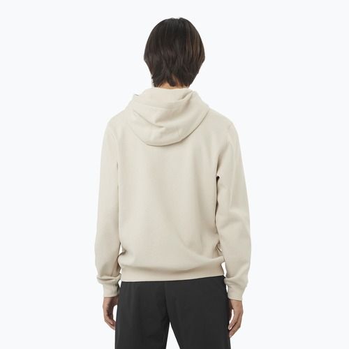 Vyriškas džemperis Salomon Logo Hoodie rainy day