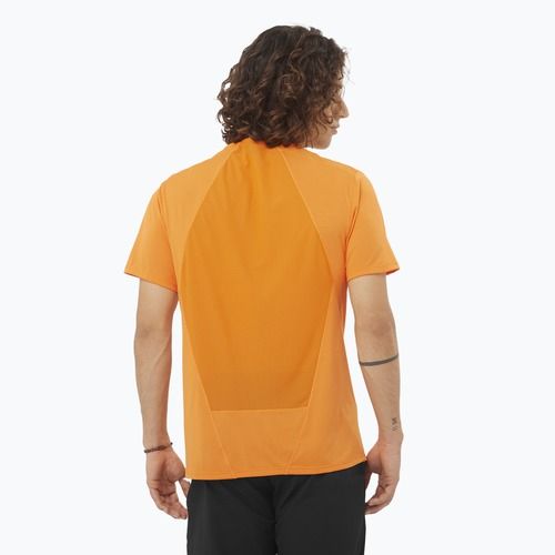Vyriški marškinėliai Salomon Outline Tee turmeric