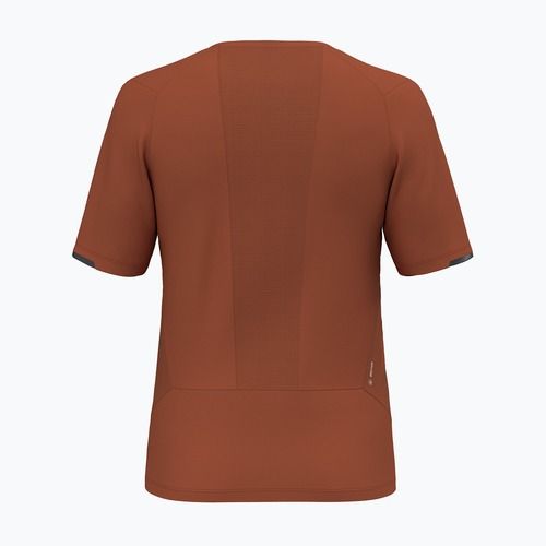 Vyriški žygio marškinėliai Salewa Pedroc Dry Hyb bombay brown
