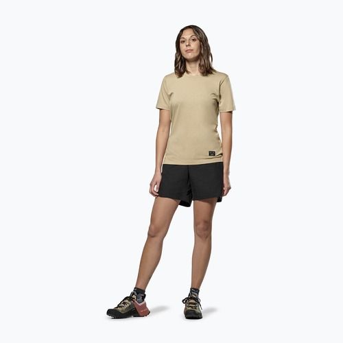 Moteriški marškinėliai Salewa Eagle Sunset Loose quicksand