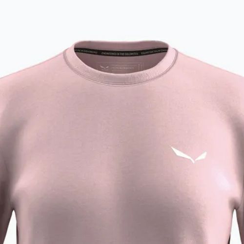 Moteriški marškinėliai Salewa Eagle Sunset Loose zephyr
