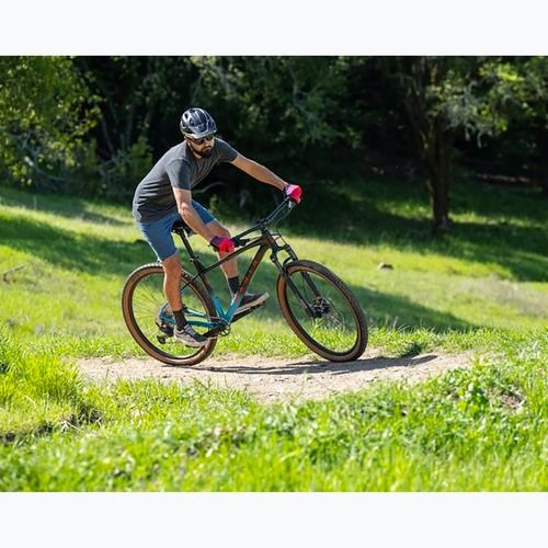 Kalnų dviratis Marin Bobcat Trail 5 29 gloss black/dark blue/red
