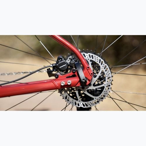 Kalnų dviratis Marin Bobcat Trail 3 29 gloss charcoal/red/black