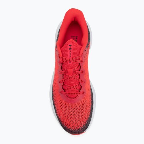 Vyriški bėgimo bateliai Under Armour Infinite racer red/castlerock/white