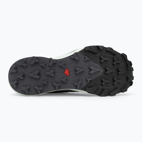 Vyriški bėgimo batai Salomon Thundercross asphalt/sharkskin/spray
