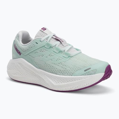 Moteriški bėgimo batai Salomon Aero Glide 3 bay/white/wilowherb