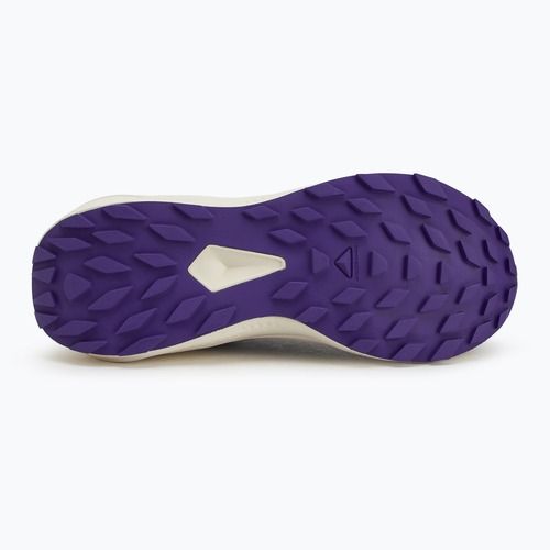 Moteriški bėgimo batai Salomon Alphaglide phantom/vanilla ice/liberty