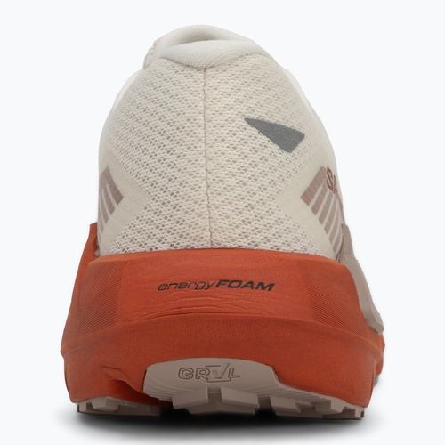 Moteriški bėgimo batai Salomon Drx Defy GRVL vanilla ice/burnt ochre/etherea