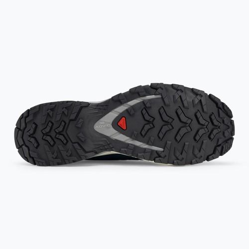 Vyriški bėgimo batai Salomon XA Pro 3D V9 poseidon/icicle/alloy