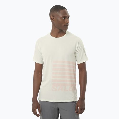 Vyriški bėgimo marškinėliai Salomon Sense Aero Tee GFX icicle/neon flame