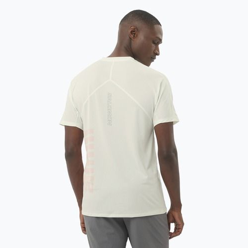 Vyriški bėgimo marškinėliai Salomon Sense Aero Tee GFX icicle/neon flame