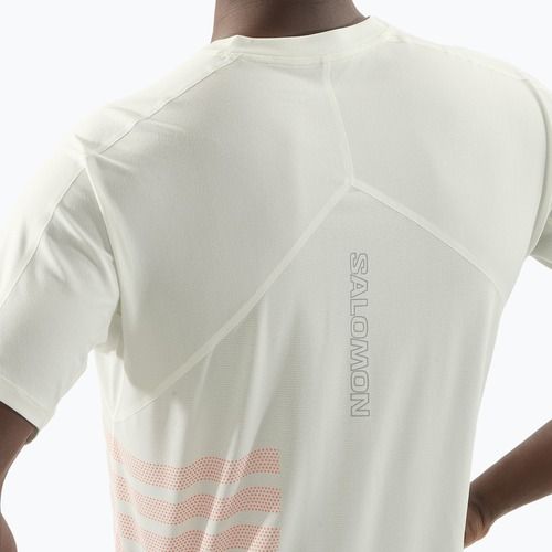 Vyriški bėgimo marškinėliai Salomon Sense Aero Tee GFX icicle/neon flame