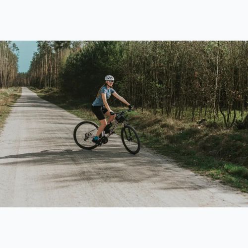 Moteriškas kalnų dviratis ATTABO ALPE 2.0 29" rožinis