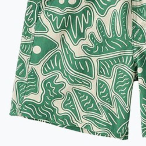 Moteriški šortai Patagonia Baggies 5" bees and flowers/heartleaf green