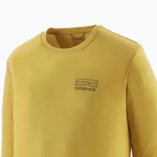 Vyriški marškinėliai ilgomis rankovėmis Patagonia Cap Cool Merino Blend Graphic fitz roy strata/bundle green