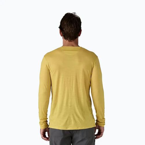 Vyriški marškinėliai ilgomis rankovėmis Patagonia Cap Cool Merino Blend Graphic fitz roy strata/bundle green