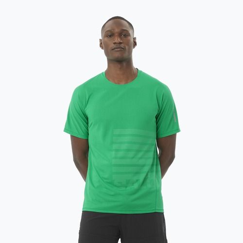 Vyriški bėgimo marškinėliai Salomon Sense Aero Tee GFX parakeet / spearmintme