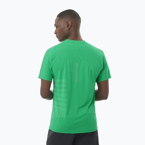 Vyriški bėgimo marškinėliai Salomon Sense Aero Tee GFX parakeet / spearmintme