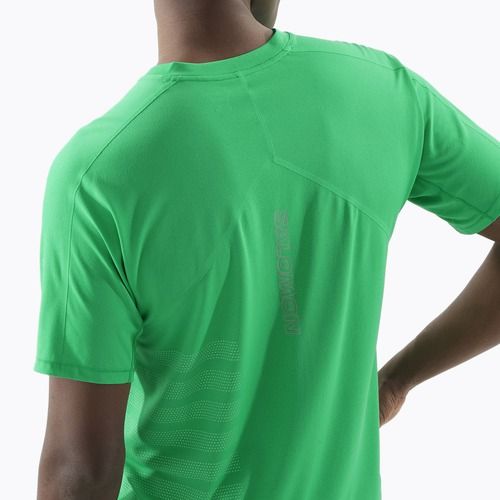 Vyriški bėgimo marškinėliai Salomon Sense Aero Tee GFX parakeet / spearmintme