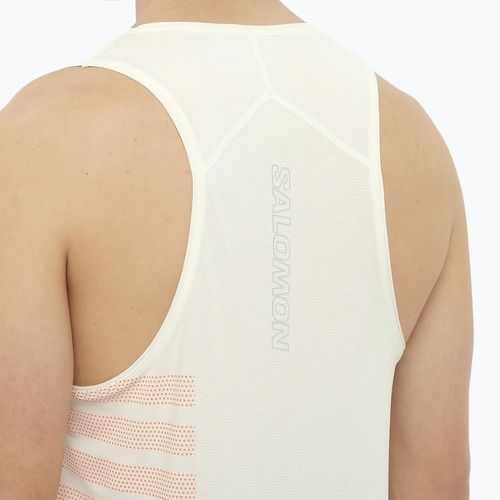 Vyriškas bėgimo tank topas Salomon Sense Aero Singlet GFX icicle