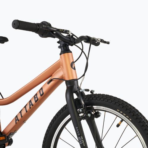 Vaikiškas dviratis ATTABO RASH 20" vario spalvos