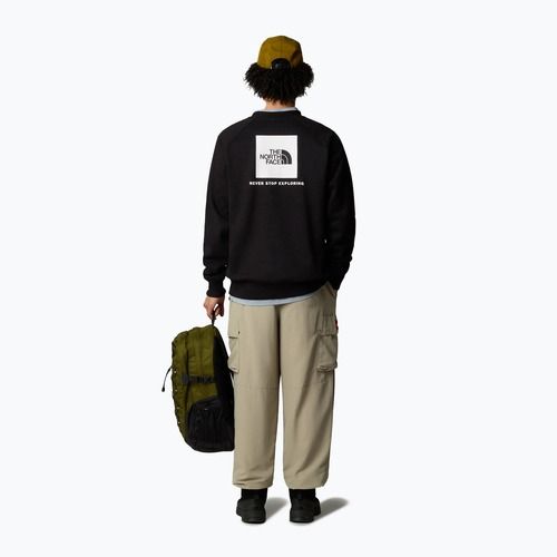 Vyriškas džemperis The North Face Raglan Box Nse Crew tnf black